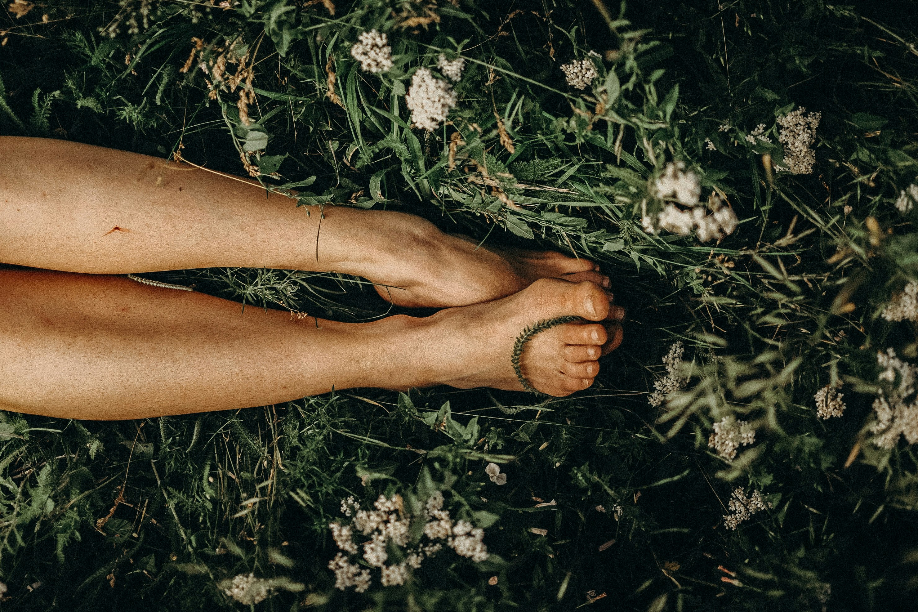 persons feet on white flowers